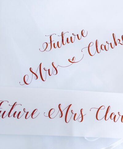 White tulle hen party veil with comb, personalised with “The Future Mrs” text – fun bridal accessory for hen parties and bridal showers.